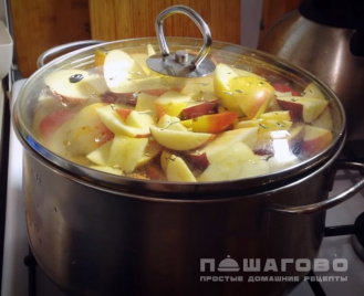 Фото приготовления рецепта: Смоква из яблок - шаг 1