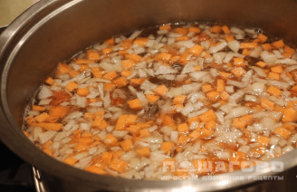 Фото приготовления рецепта: Щи из свежей капусты со свининой - шаг 2