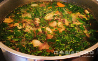Фото приготовления рецепта: Куриный суп с грибами шампиньонами и зеленью - шаг 5