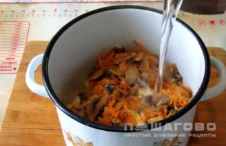 Фото приготовления рецепта: Быстрый суп из свежих шампиньонов, картофеля и моркови - шаг 3
