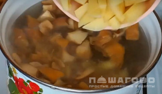 Фото приготовления рецепта: Грибной суп с лисичками - шаг 3