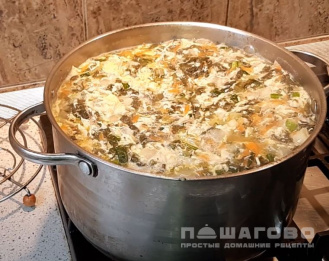 Фото приготовления рецепта: Суп щавелевый с тушенкой - шаг 7