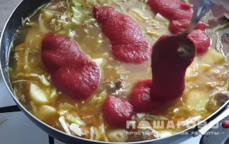Фото приготовления рецепта: Бигус из свежей капусты с курицей и картошкой - шаг 5