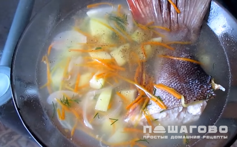 Уха из тайменя