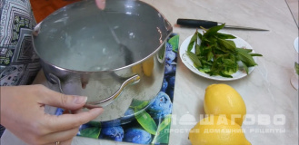 Фото приготовления рецепта: Лимонад с мятой - шаг 1