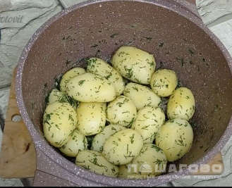 Фото приготовления рецепта: Картофель отварной - шаг 2