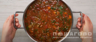 Фото приготовления рецепта: Простой мясной суп с приправой из томатов и чеснока - шаг 9