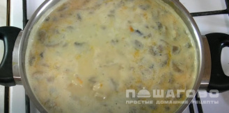 Фото приготовления рецепта: Грибной суп из шампиньонов с плавленным сыром - шаг 11