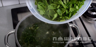 Фото приготовления рецепта: Легкий суп-пюре из шпината - шаг 9