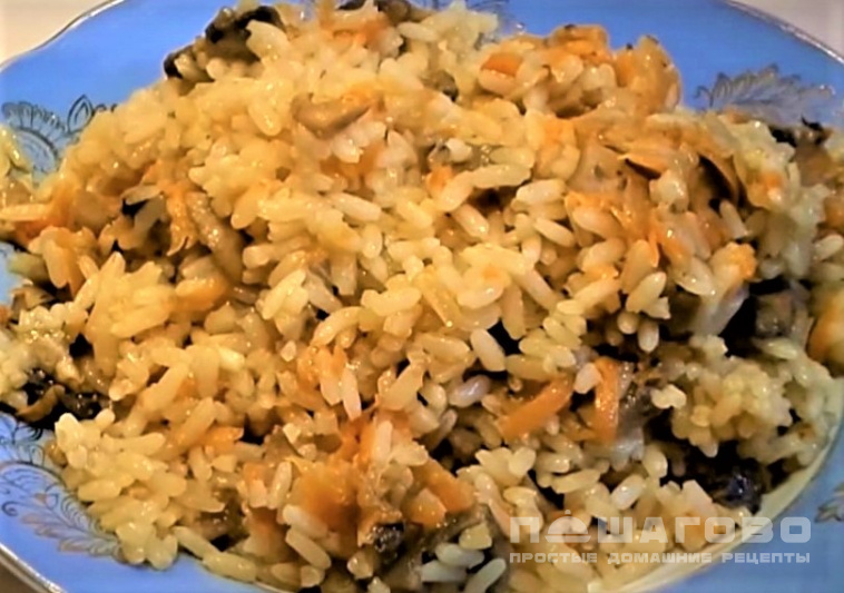 Рецепты блюд с рисом и сыром - вкусные и оригинальные идеи