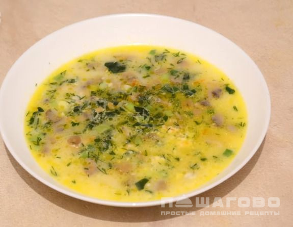 Грибной суп с картофелем и зеленью