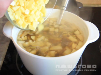 Фото приготовления рецепта: Суп из белых грибов - шаг 10