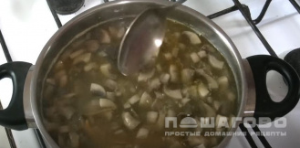 Фото приготовления рецепта: Грибной суп из шампиньонов с плавленным сыром - шаг 10