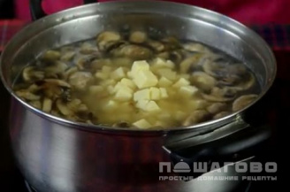 Фото приготовления рецепта: Грибной суп с плавленым сыром - шаг 3