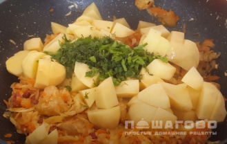 Фото приготовления рецепта: Солянка с капустой - шаг 5