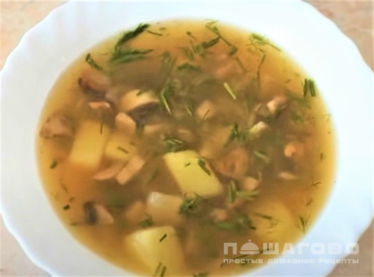 Суп грибной из шампиньонов рецепт с картофелем