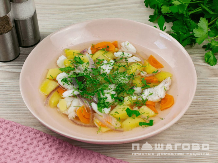 Уха из судака