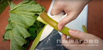 Фото приготовления рецепта: Зеленые щи из ревеня с картошкой - шаг 3