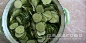 Фото приготовления рецепта: Сырой салат из огурцов на зиму - шаг 6